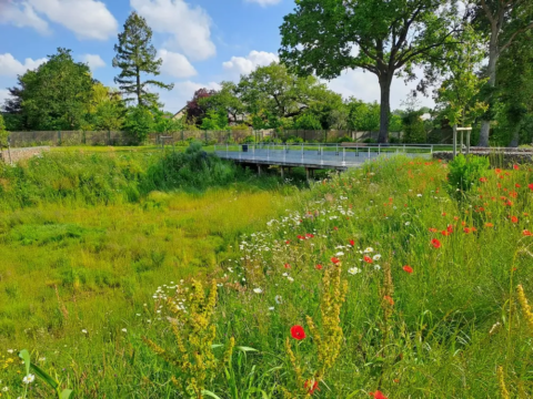 Parc D'activités du Chêne Morand