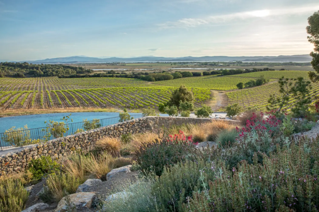 1  Domaine et Demeure  les jardins du château capitoul