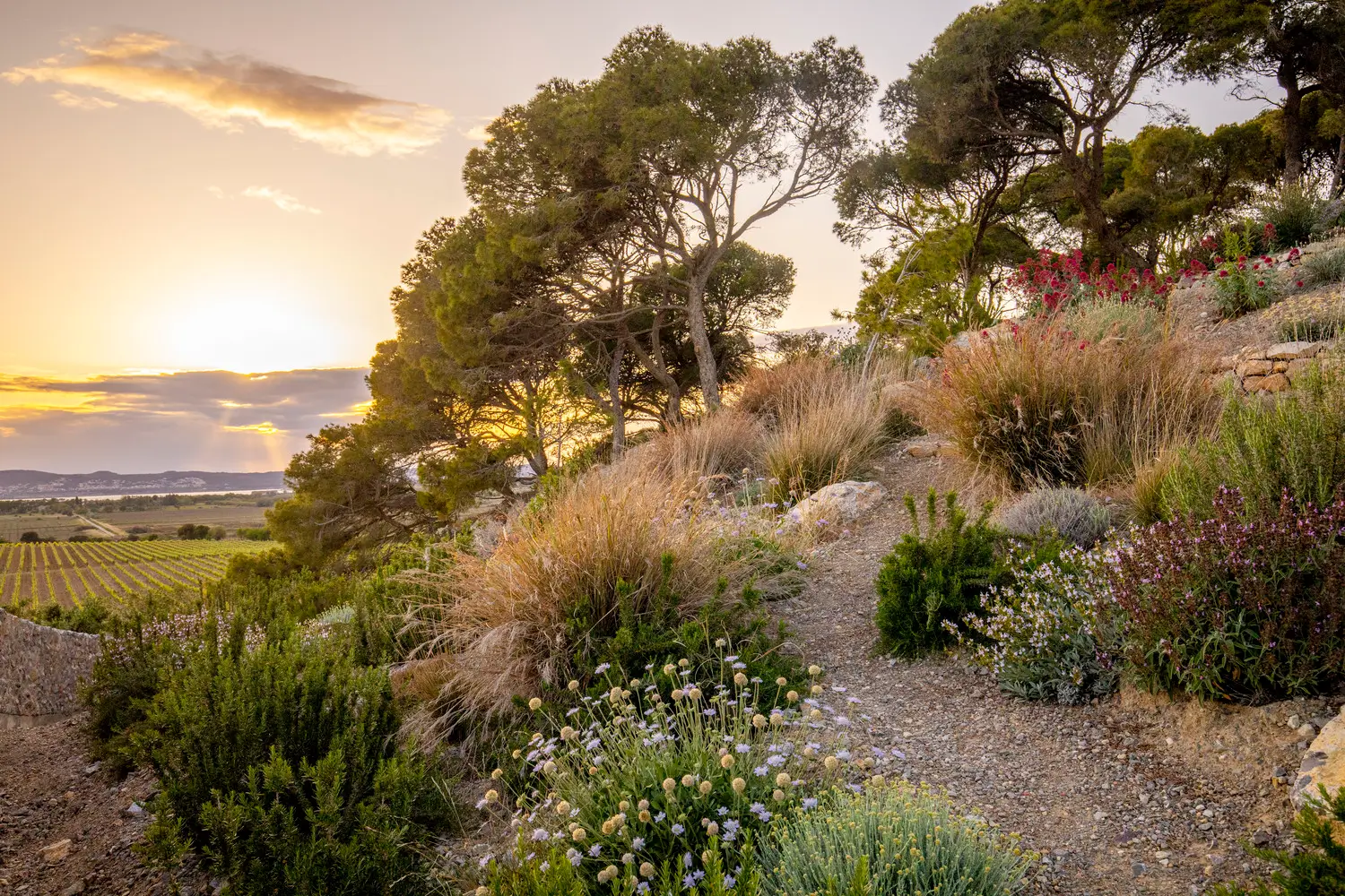 1. Concours VAL’HOR : jardins et aménagements paysagers des collectivités